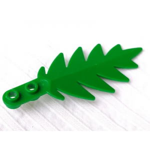 plant palm blad klein green